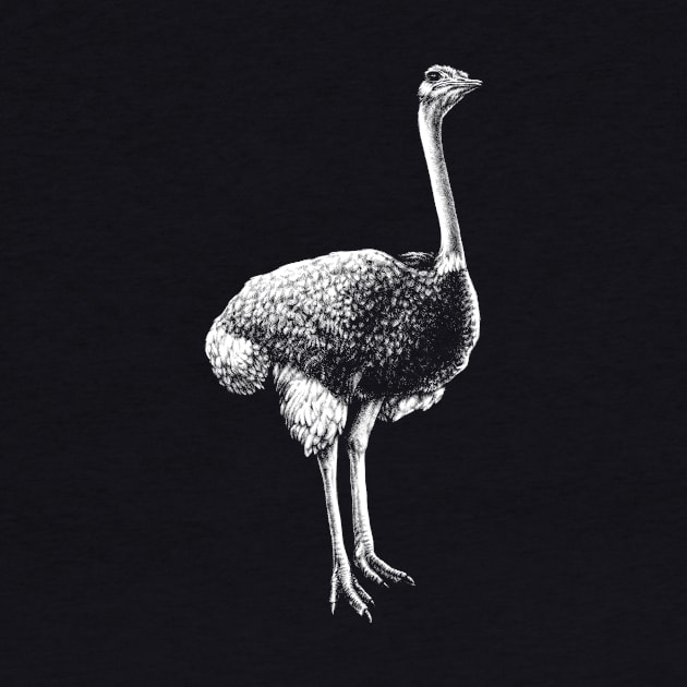 Common Ostrich Animal Portrait by MMMSDesigns